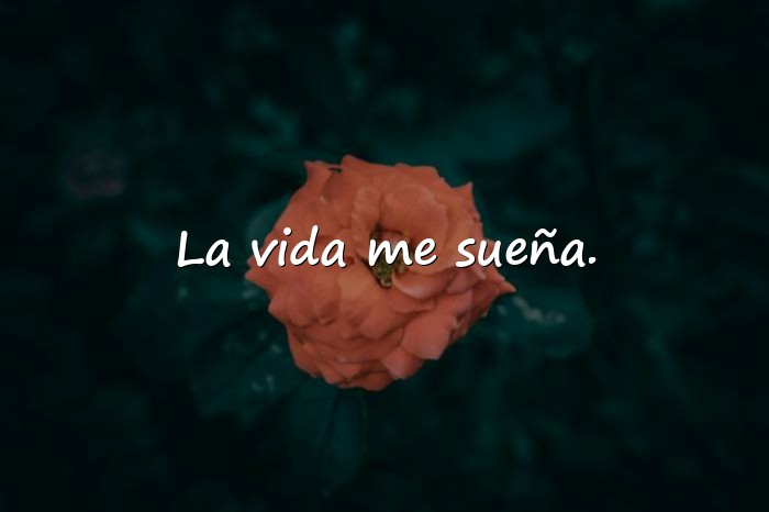 Imágenes frases poeticas - 6