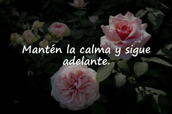 Imágenes frases positiva - 24