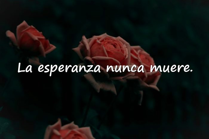 Imágenes frases positiva - 16