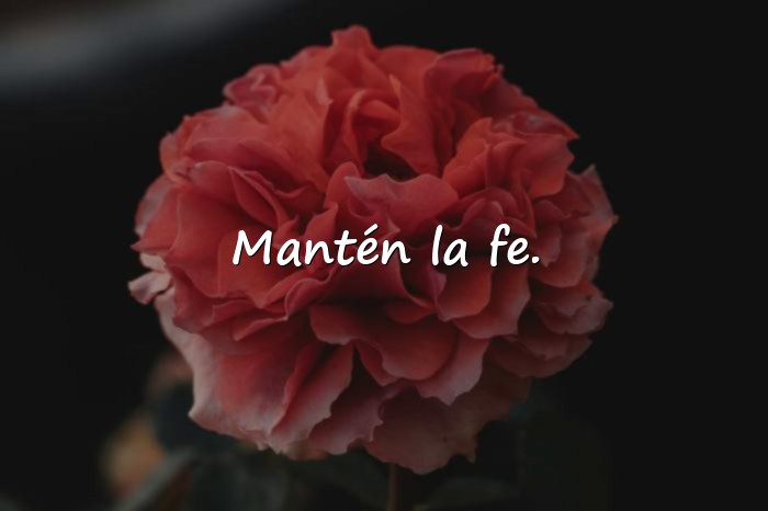 Imágenes frases positiva - 12