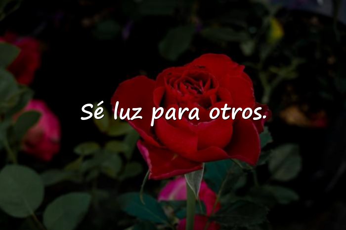 Imágenes frases positiva - 9