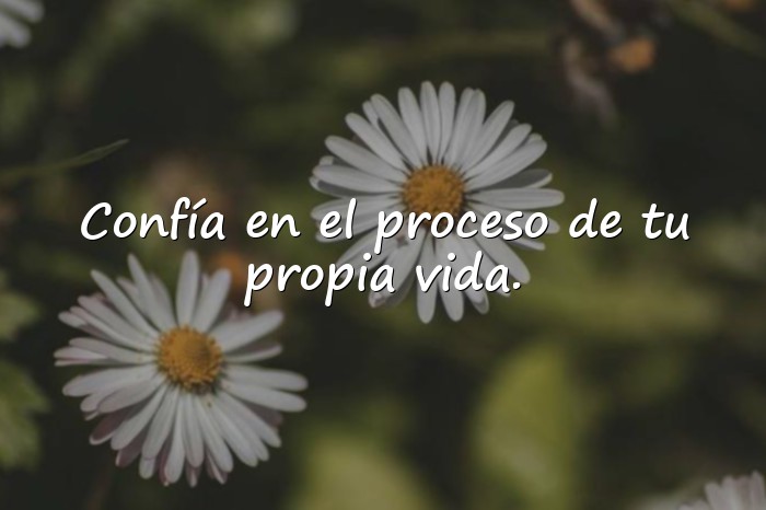 Imágenes frases positivas - 14