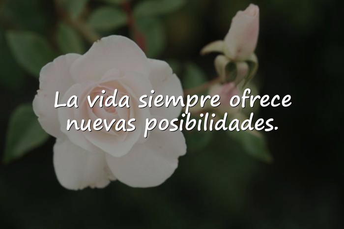 Imágenes frases positivas - 9