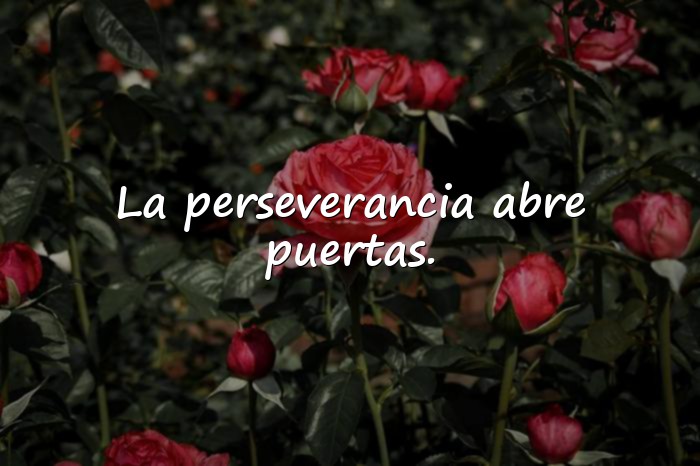 Imágenes frases positivas motivadoras - 1