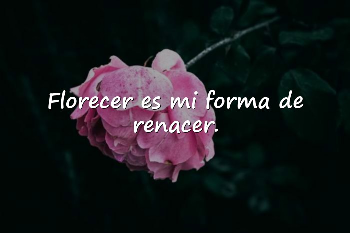 Imágenes frases primavera - 21