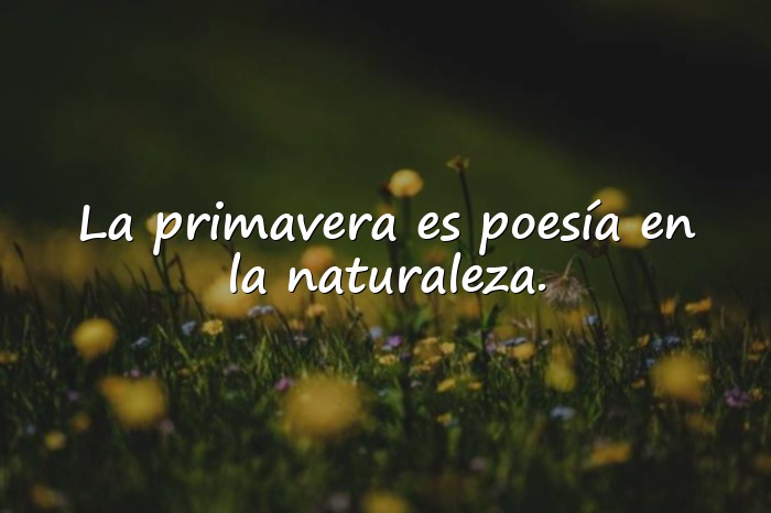 Imágenes frases primavera - 16