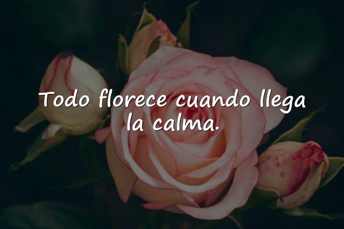 Imágenes frases primavera - 11
