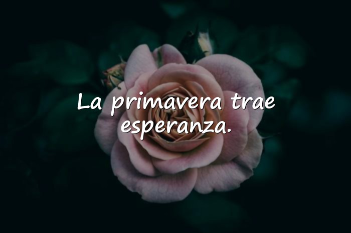 Imágenes frases primavera - 6