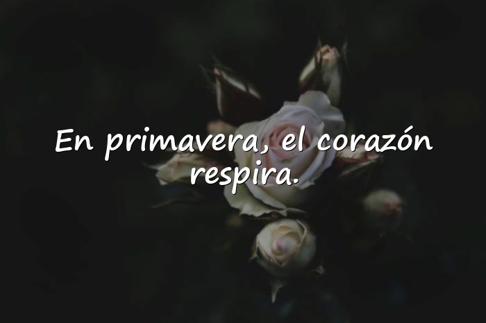 Imágenes frases primavera - 21