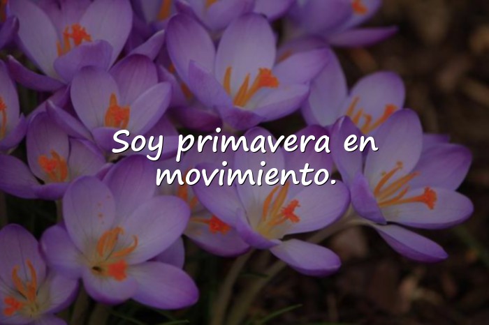 Imágenes frases primavera - 16