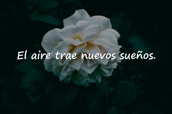 Imágenes frases primavera - 6