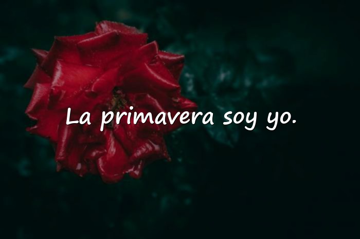 Imágenes frases primavera - 1