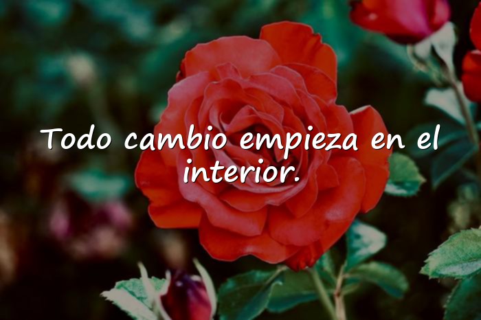 Imágenes frases profundas - 16