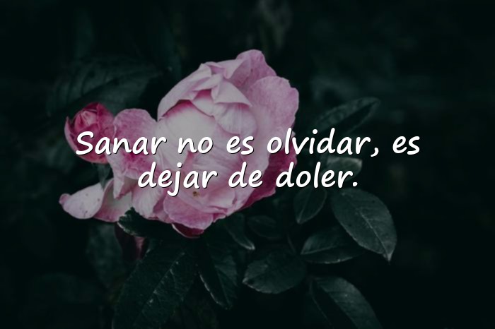 Imágenes frases psicologicas - 22