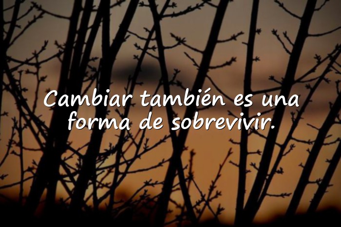 Imágenes frases psicologicas - 17