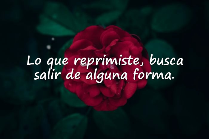 Imágenes frases psicologicas - 22