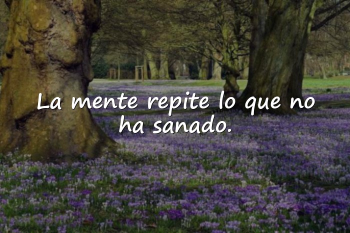 Imágenes frases psicologicas - 17