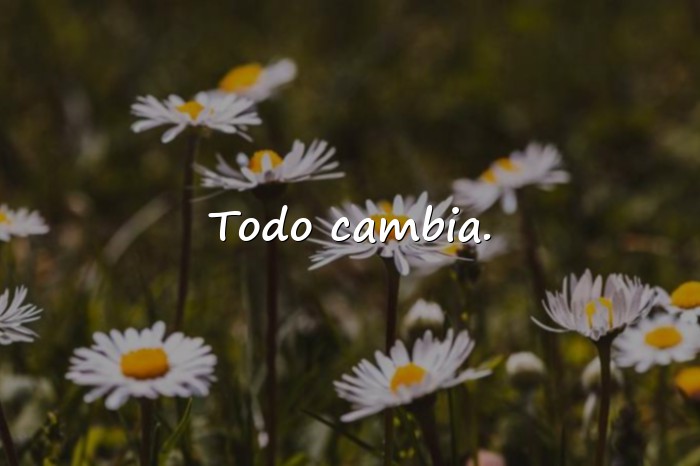 Imágenes frases random - 5