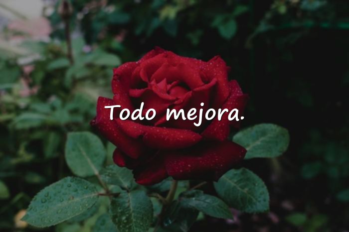 Imágenes frases random - 24