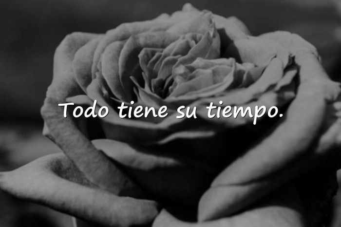 Imágenes frases random - 21