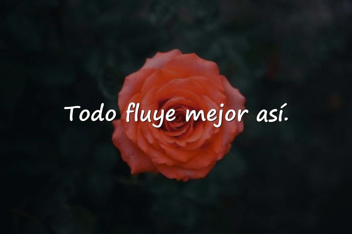Imágenes frases random - 17