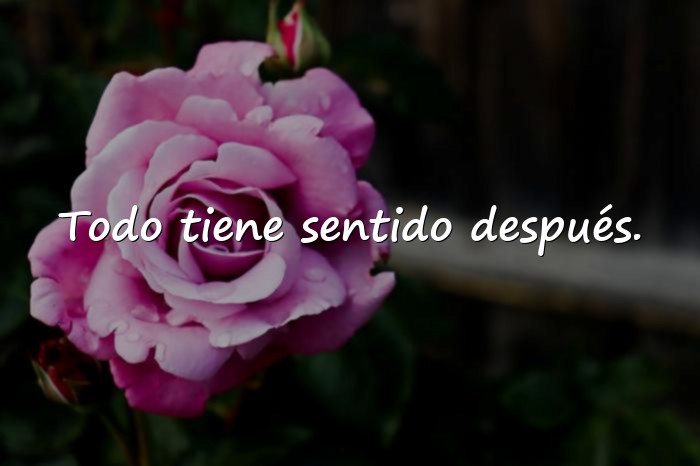 Imágenes frases random - 9