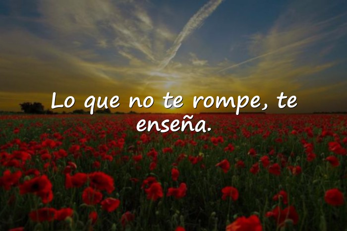 Imágenes frases resiliencia - 21