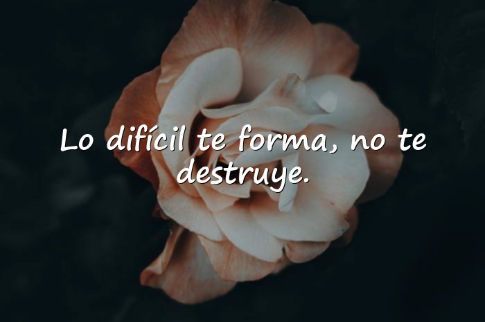 Imágenes frases resiliencia - 11