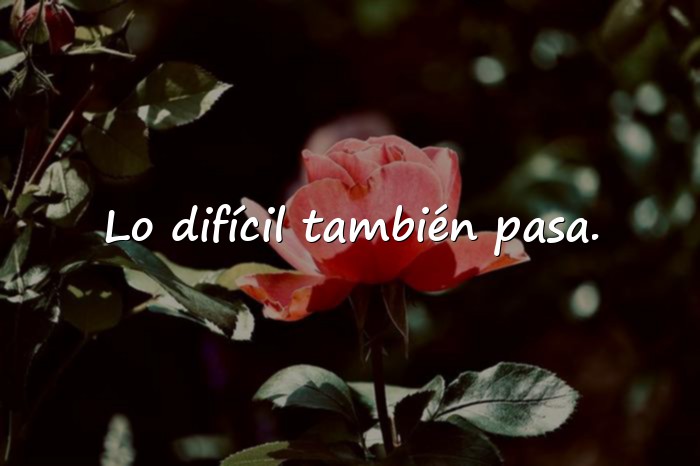 Imágenes frases resiliencia - 1