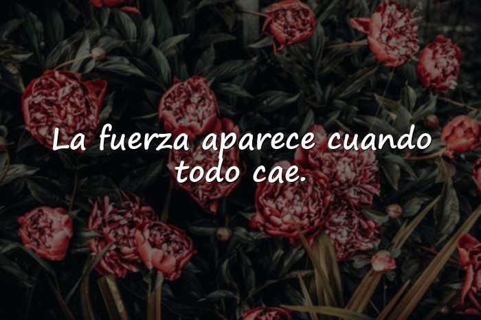 Imágenes frases resiliencia - 21