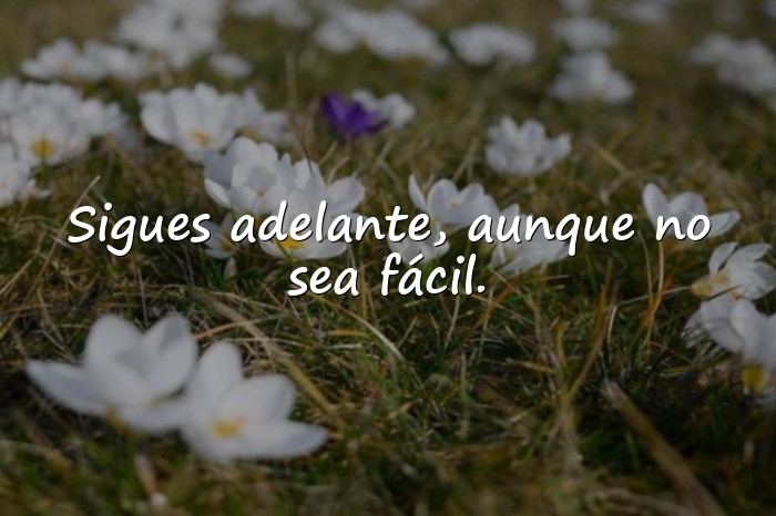 Imágenes frases resiliencia - 11