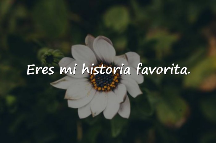 Imágenes frases románticas de amor - 19