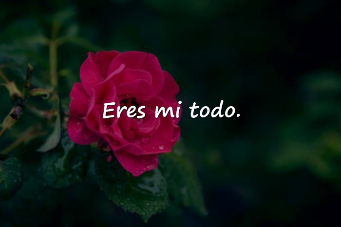 Imágenes frases románticas de amor - 15