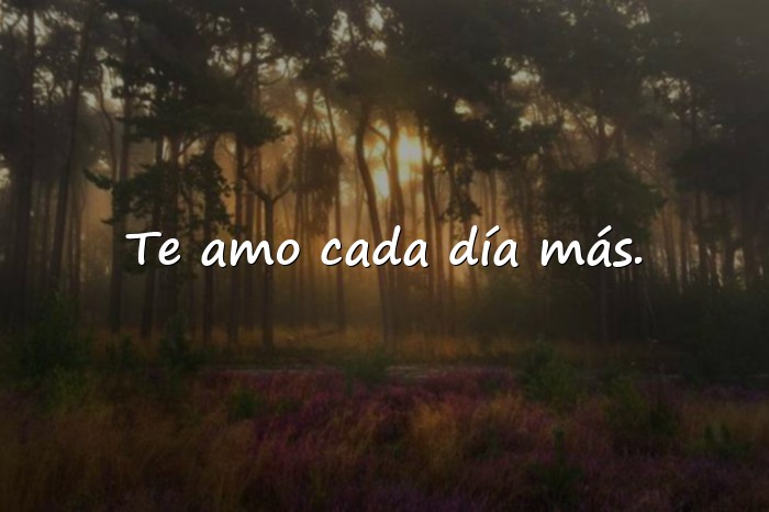 Imágenes frases románticas de amor - 11