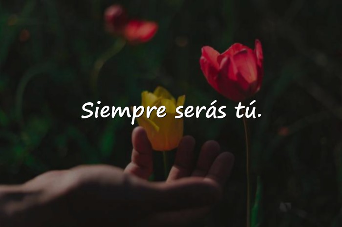 Imágenes frases románticas de amor - 1