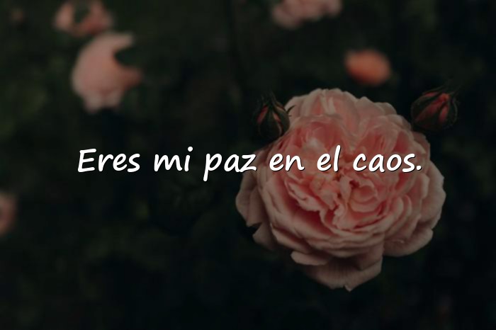 Imágenes frases romanticas - 10