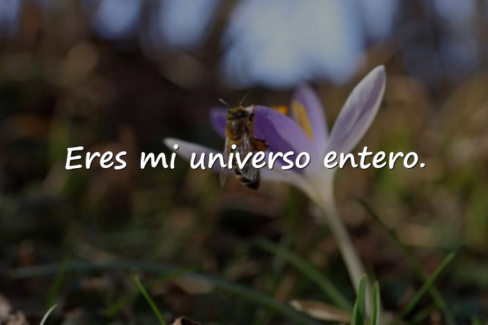 Imágenes frases romanticas - 9