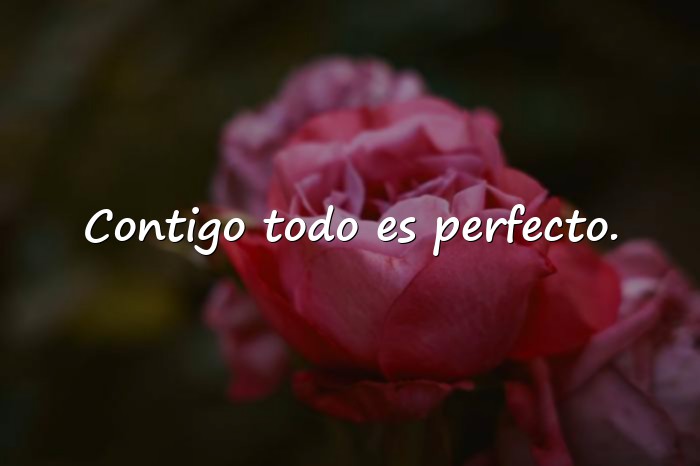 Imágenes frases romanticas - 5