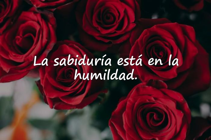 Imágenes frases sabias - 9