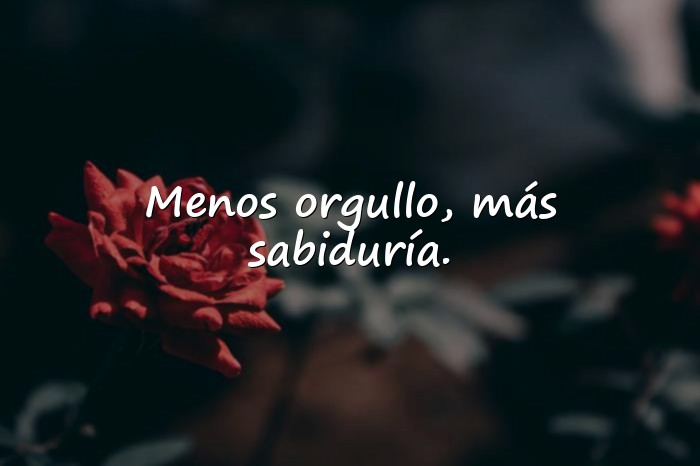 Imágenes frases sabias - 5