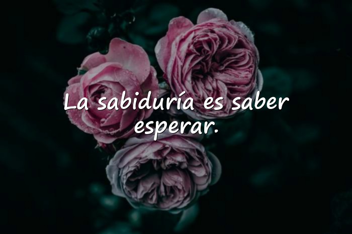 Imágenes frases sabias - 1