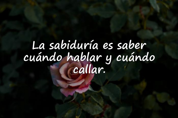 Imágenes frases sabias de la vida - 11