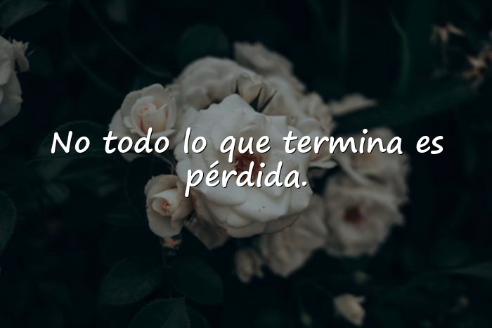 Imágenes frases sabias de la vida - 23