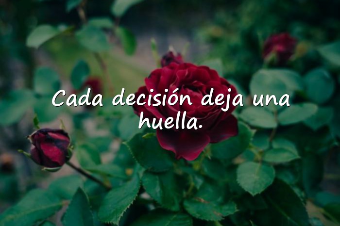 Imágenes frases sabias de la vida - 19