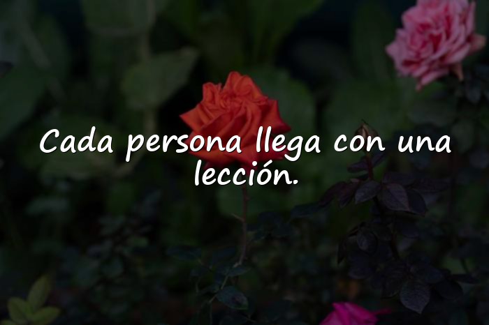 Imágenes frases sabias de la vida - 15