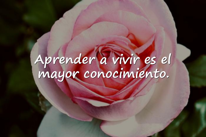 Imágenes frases sabias de la vida - 1