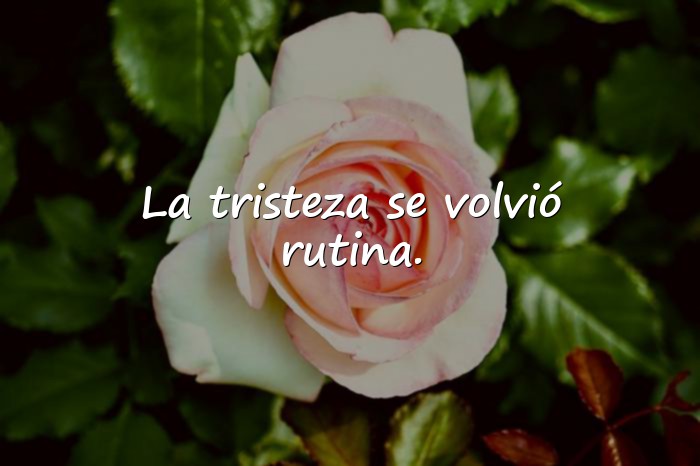 Imágenes frases sad - 16