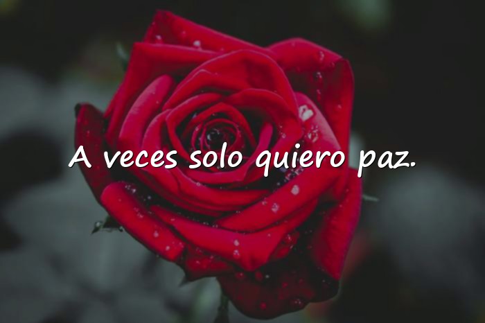Imágenes frases sad - 1