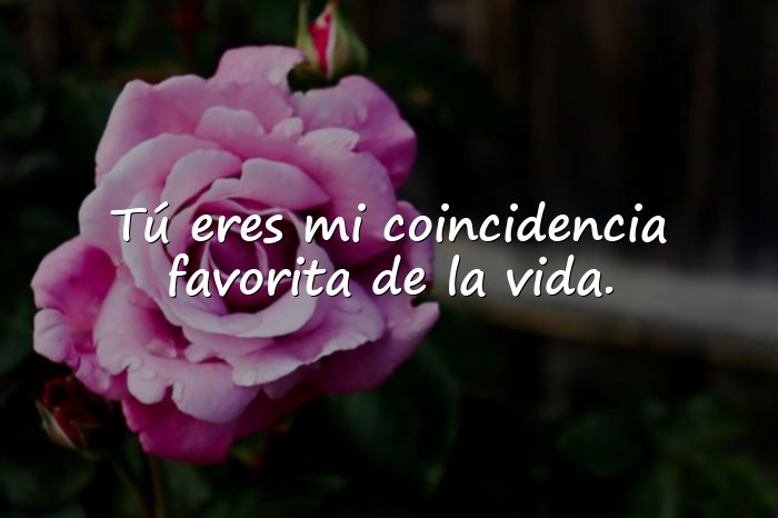 Imágenes frases san valentin - 11