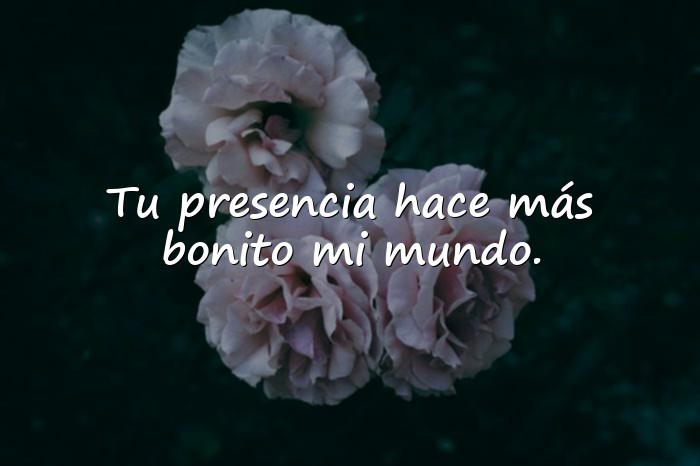 Imágenes frases san valentin - 20